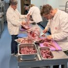 Wildversnij cursus 2026